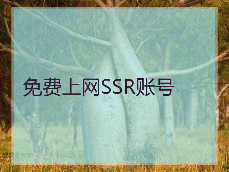 免费上网SSR账号