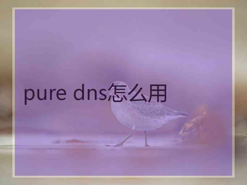 pure dns怎么用