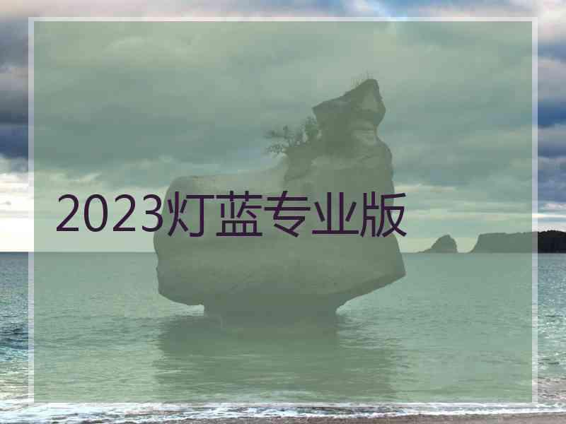 2023灯蓝专业版