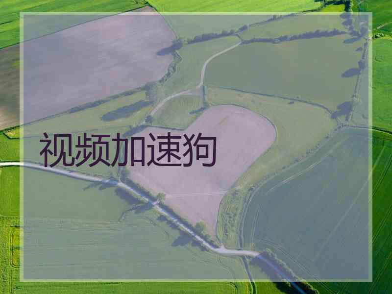 视频加速狗