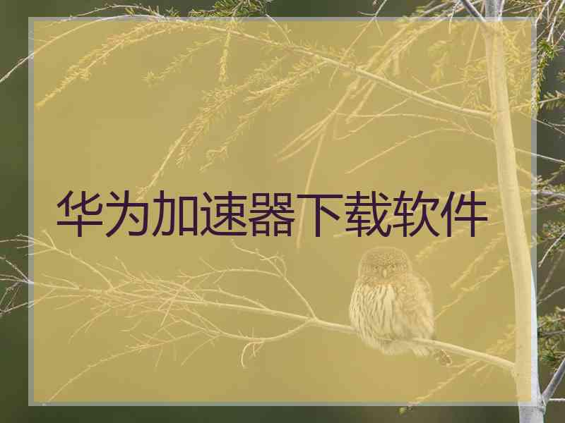 华为加速器下载软件
