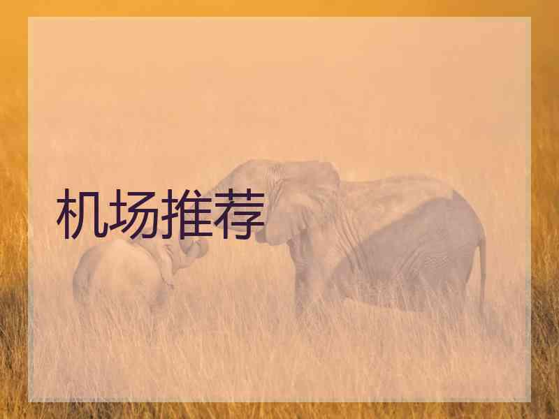 机场推荐