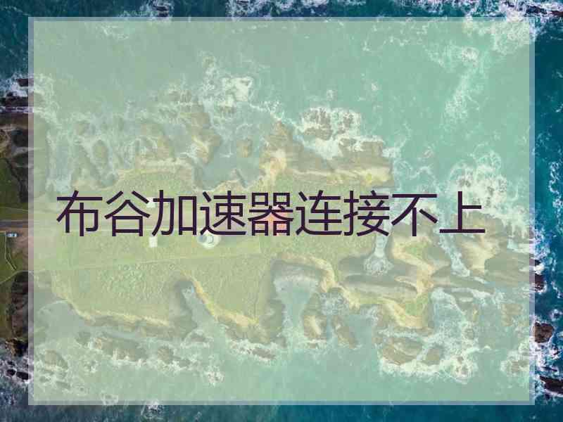 布谷加速器连接不上