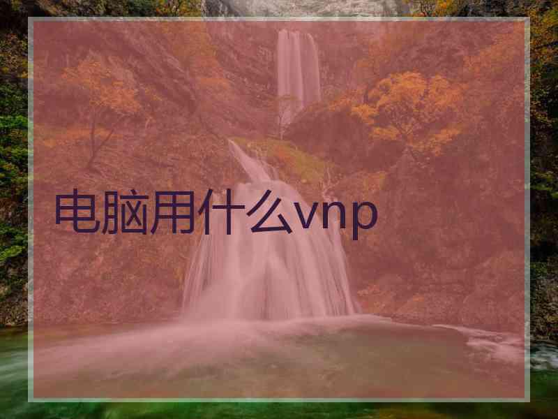 电脑用什么vnp