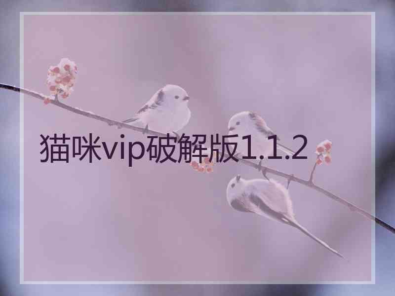 猫咪vip破解版1.1.2