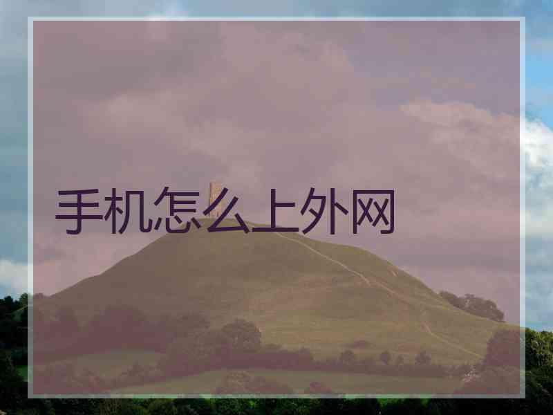 手机怎么上外网