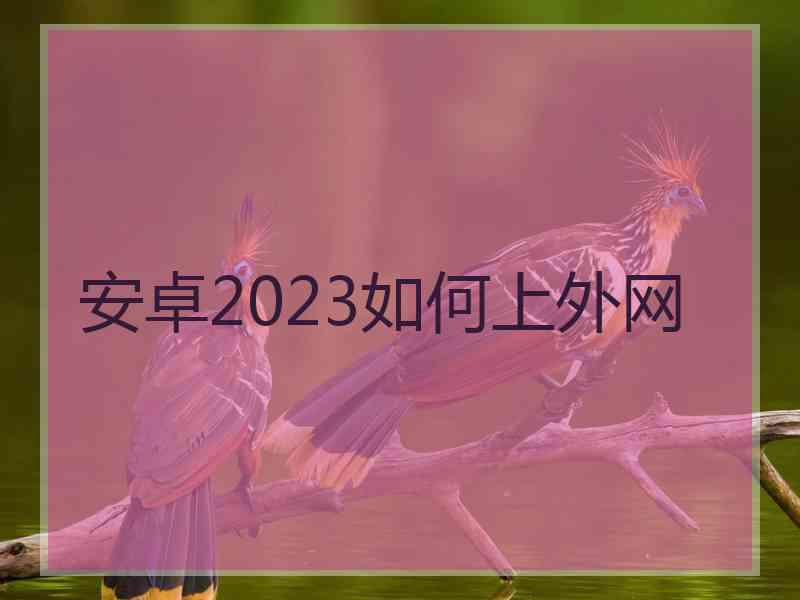 安卓2023如何上外网