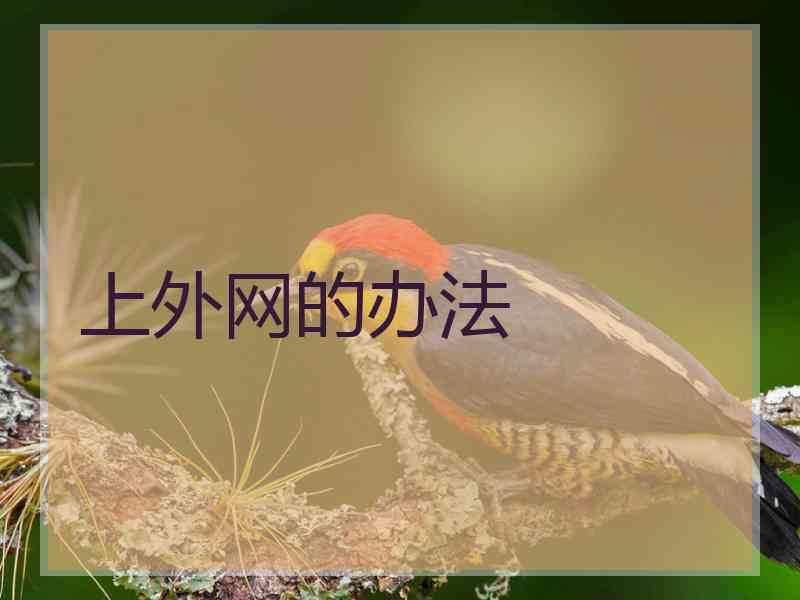 上外网的办法