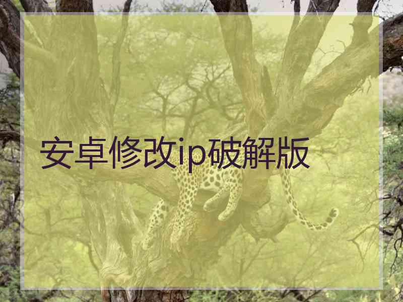 安卓修改ip破解版