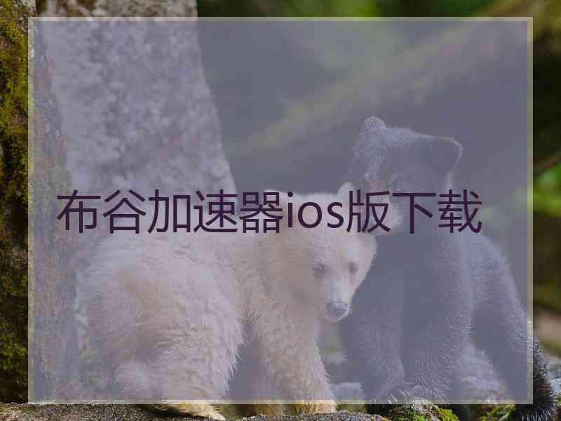 布谷加速器ios版下载