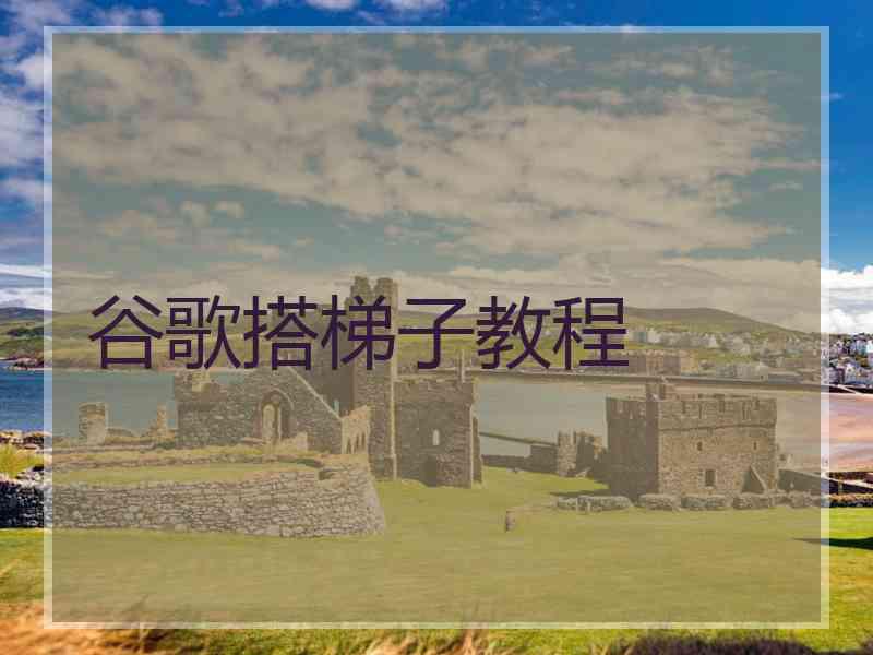 谷歌搭梯子教程