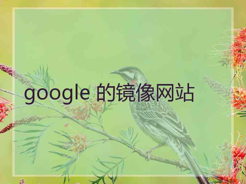 google 的镜像网站
