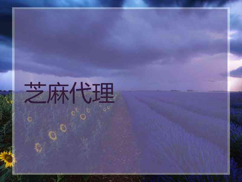 芝麻代理