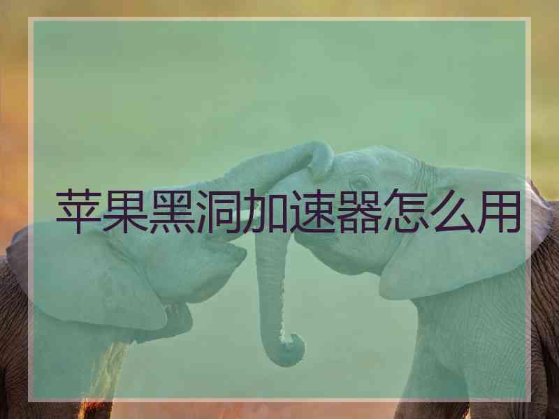 苹果黑洞加速器怎么用