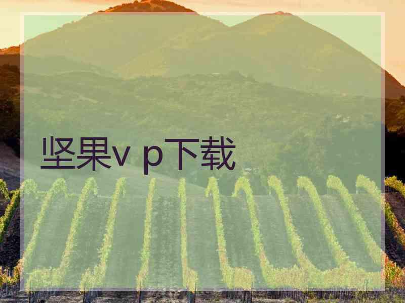 坚果v p下载