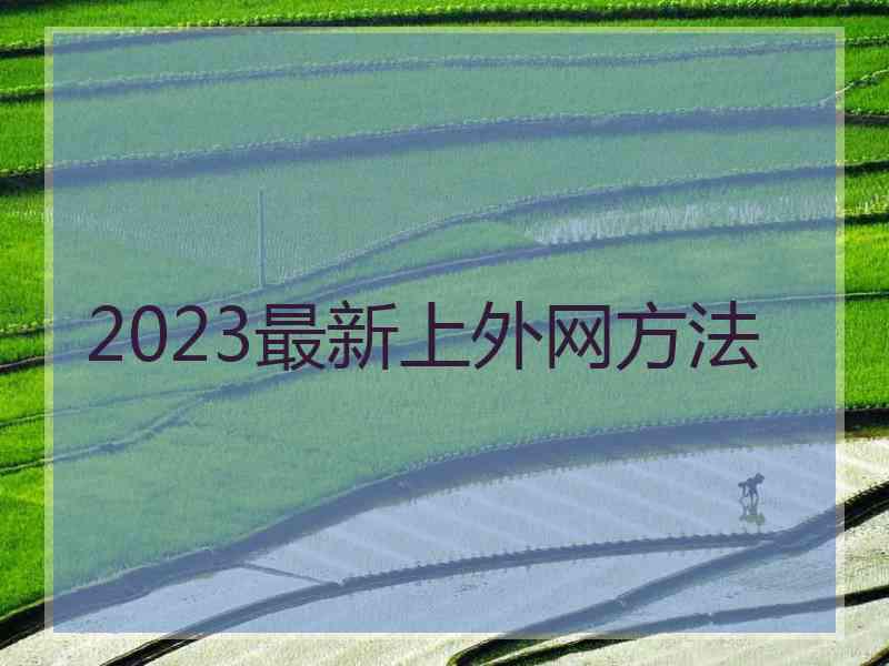 2023最新上外网方法