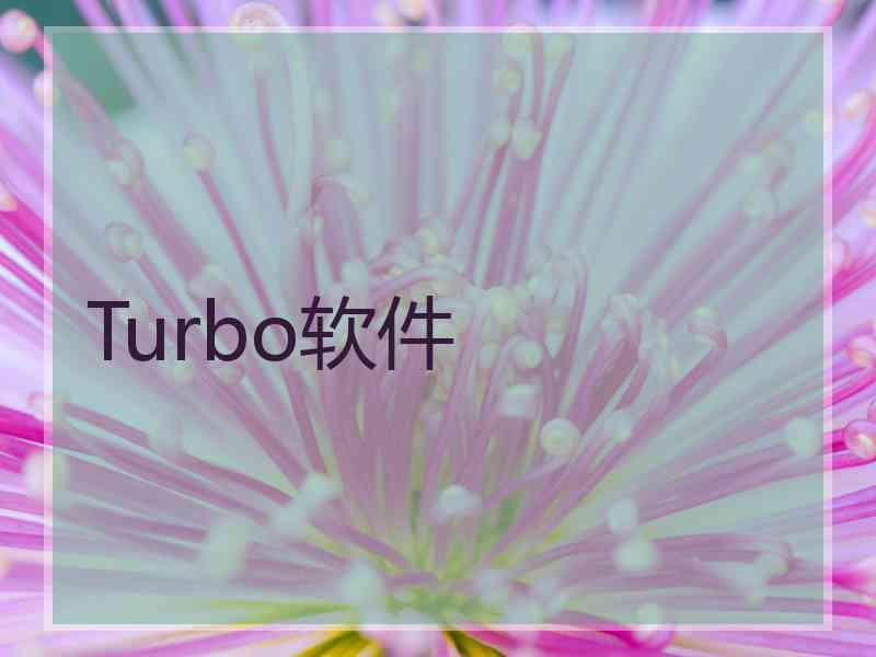 Turbo软件