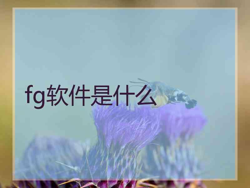 fg软件是什么