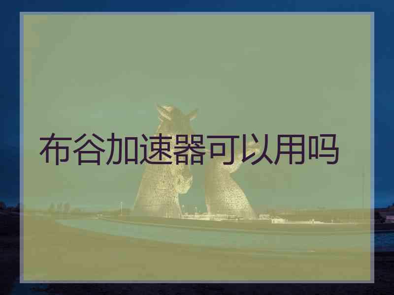 布谷加速器可以用吗