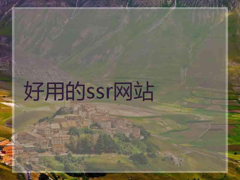 好用的ssr网站