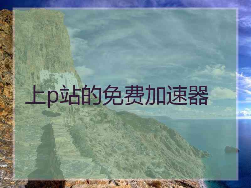 上p站的免费加速器