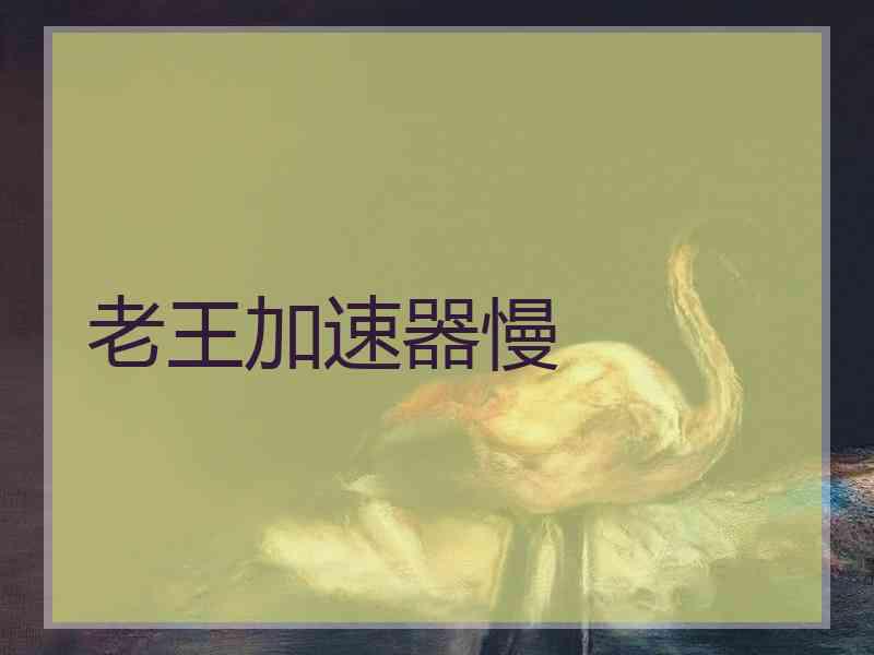 老王加速器慢