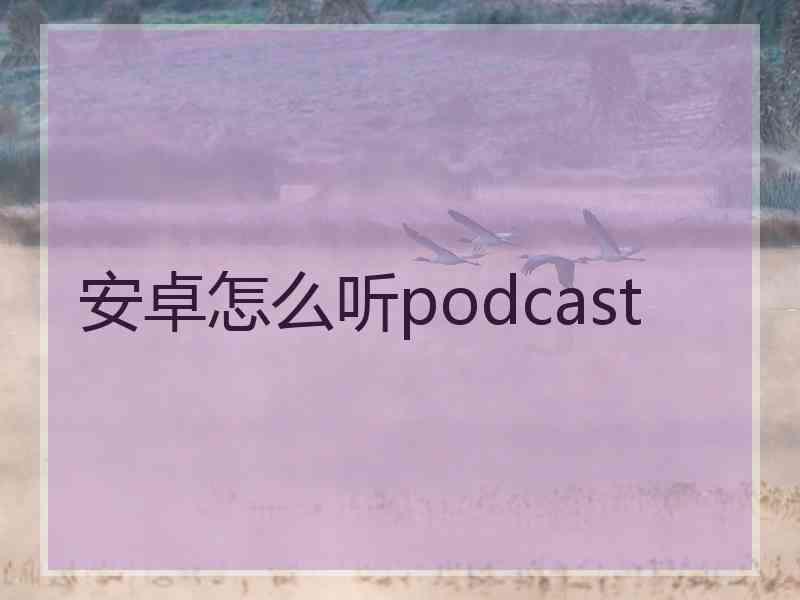 安卓怎么听podcast