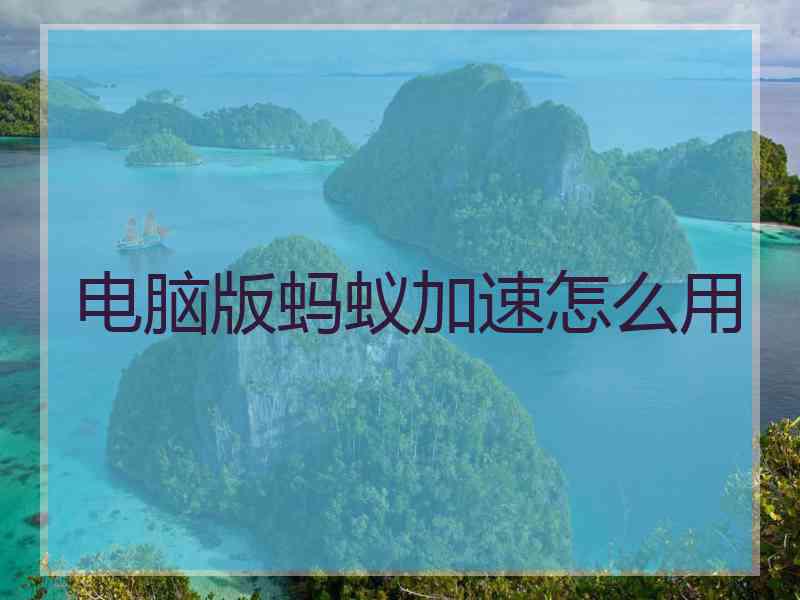 电脑版蚂蚁加速怎么用