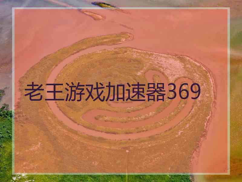 老王游戏加速器369