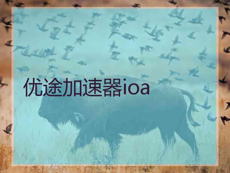 优途加速器ioa