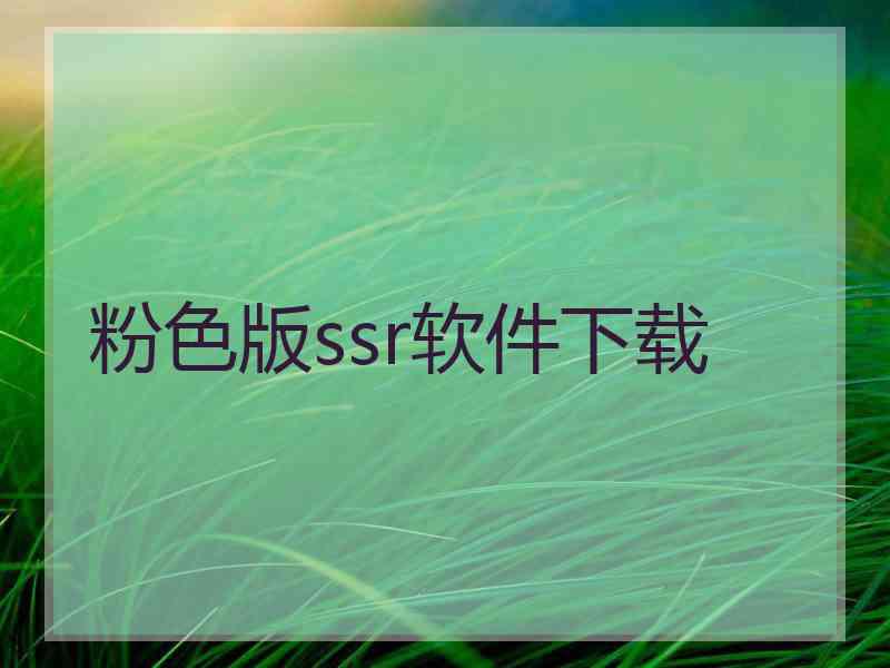 粉色版ssr软件下载