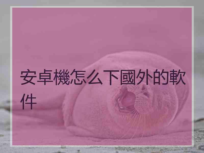 安卓機怎么下國外的軟件