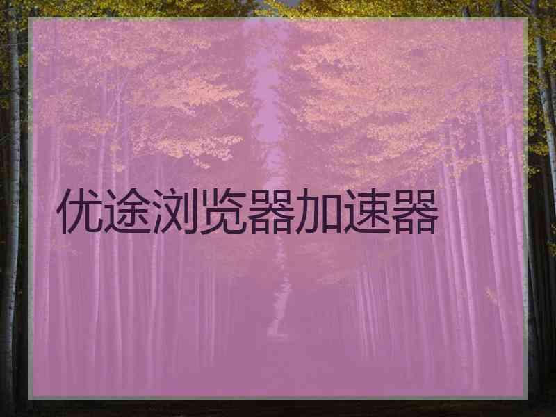 优途浏览器加速器