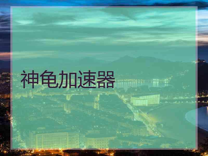 神龟加速器