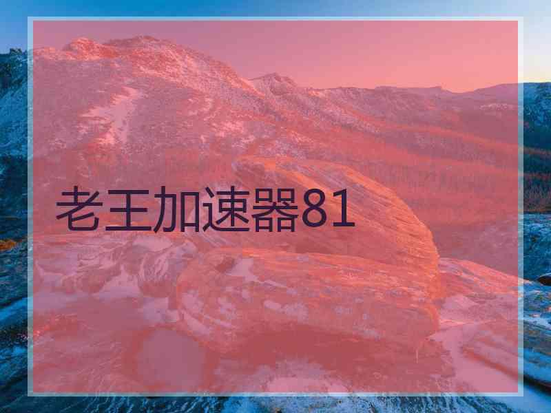 老王加速器81