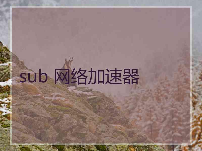 sub 网络加速器