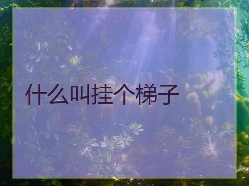 什么叫挂个梯子