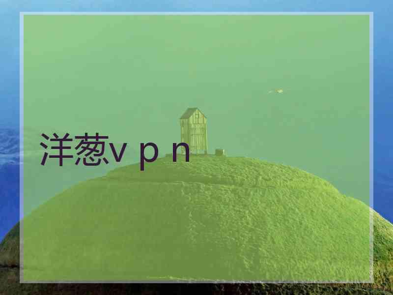 洋葱v p n