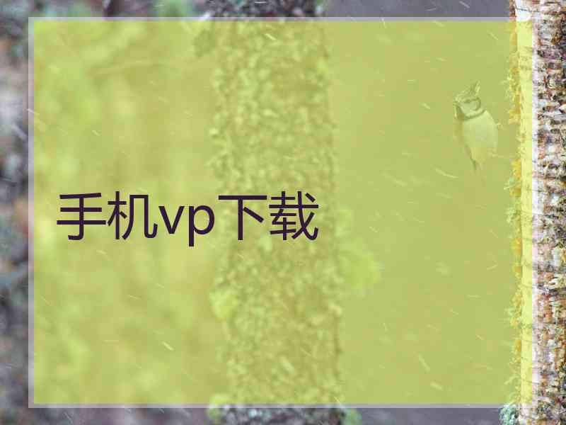 手机vp下载