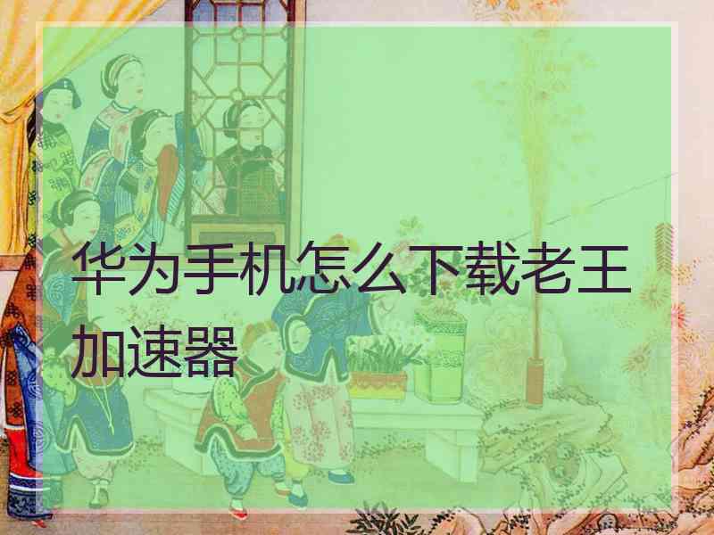 华为手机怎么下载老王加速器