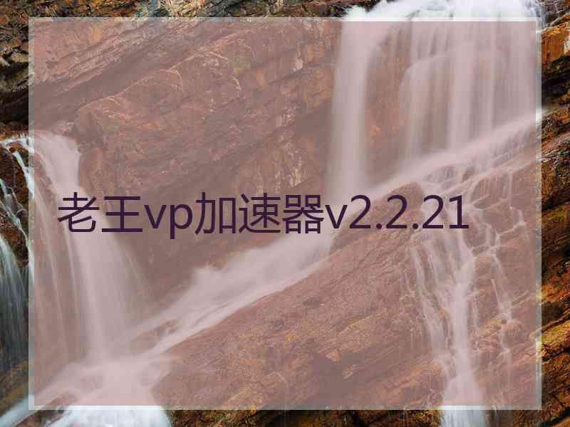 老王vp加速器v2.2.21