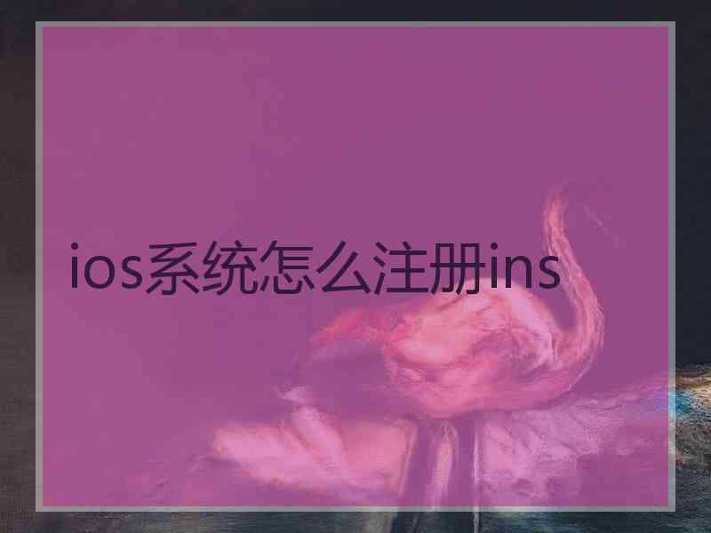 ios系统怎么注册ins