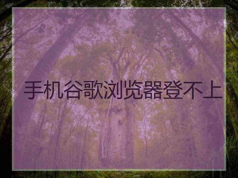 手机谷歌浏览器登不上
