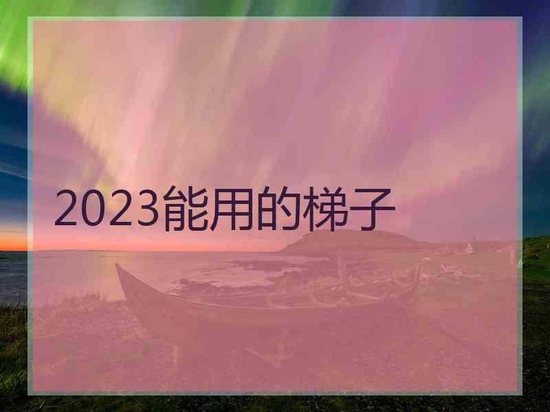 2023能用的梯子