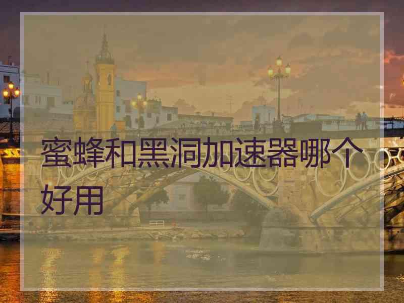 蜜蜂和黑洞加速器哪个好用