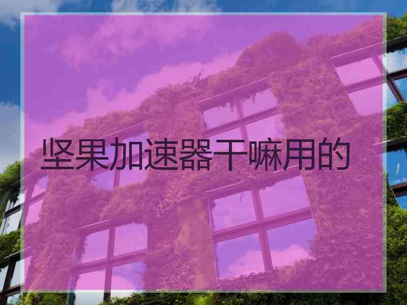 坚果加速器干嘛用的